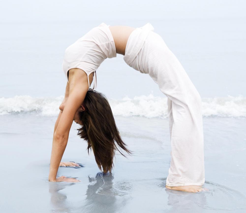 corps humain les muscles