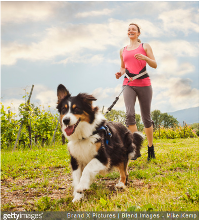 Quels sont les bienfaits du canicross sur votre santé et celle de votre animal ? Comment bien se préparer à cet exercice ?