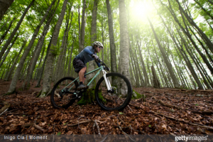 vtt-foret