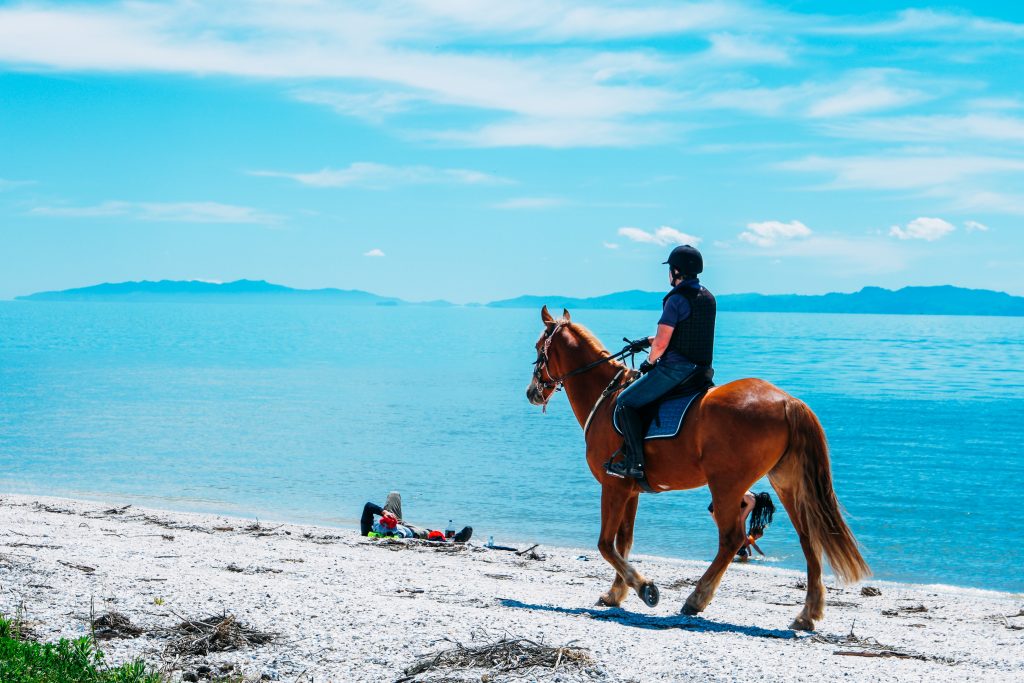 Cavalier qui remonte une plage sur le dos de son cheval